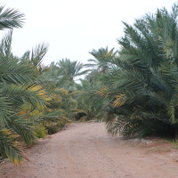 Pueblo Mehrjan